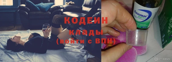 дмт Осинники