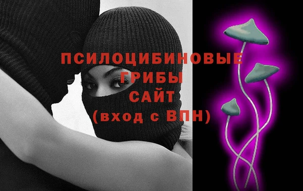 шишки Зерноград