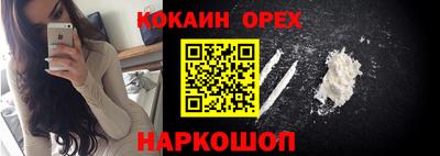 гидра Братск