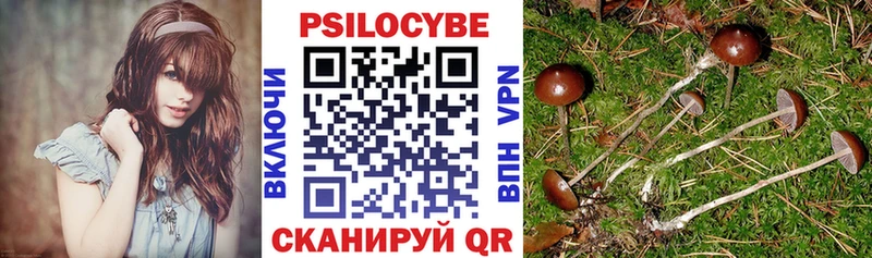 KRAKEN зеркало  Истра  Галлюциногенные грибы MAGIC MUSHROOMS 