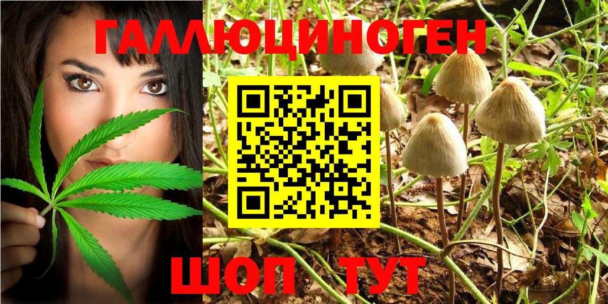Истра  Галлюциногенные грибы мицелий  цены   Галлюциногенные грибы MAGIC MUSHROOMS  Вход с VPN 