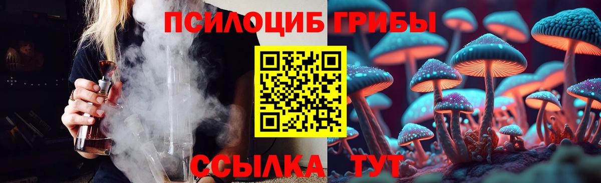 A-PVP Истра